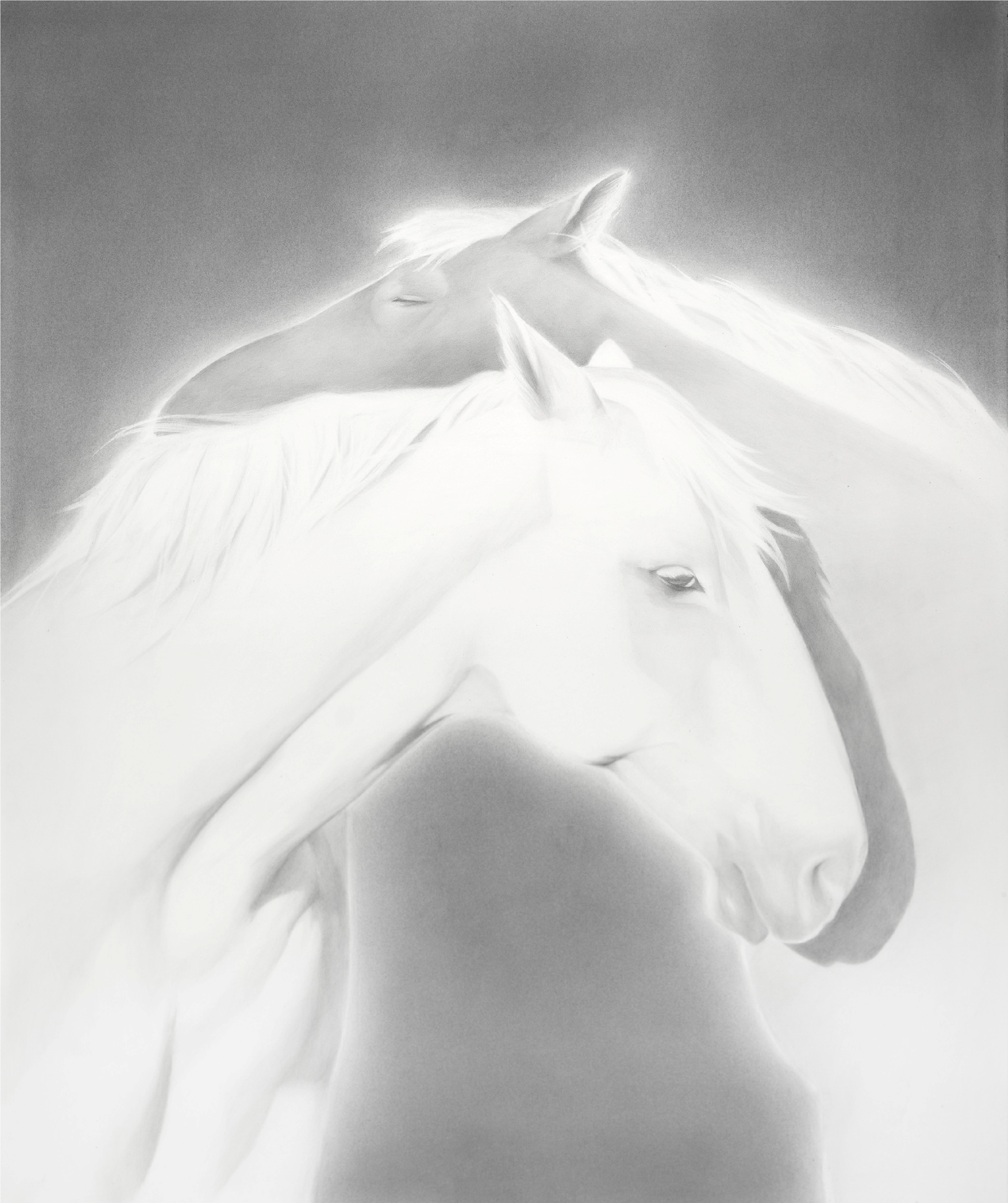 LUX ET UMBRA I